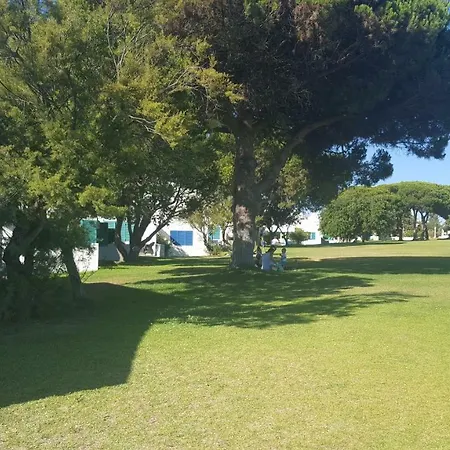 בית נופש L&a With Private Heated Pool In Prainha